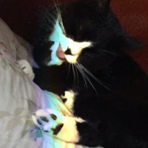 Meet your Posher, Raiana